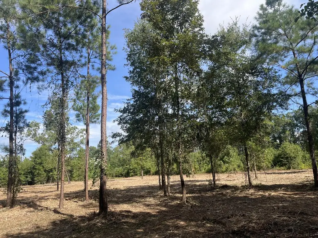 00 U.s. Highway 319 North (7.8 Acres), Thomasville, GA 31757 - #1