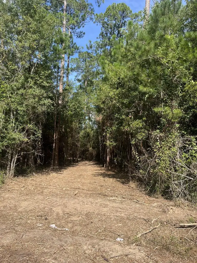 00 U.s. Highway 319 North (7.8 Acres), Thomasville, GA 31757 - #2