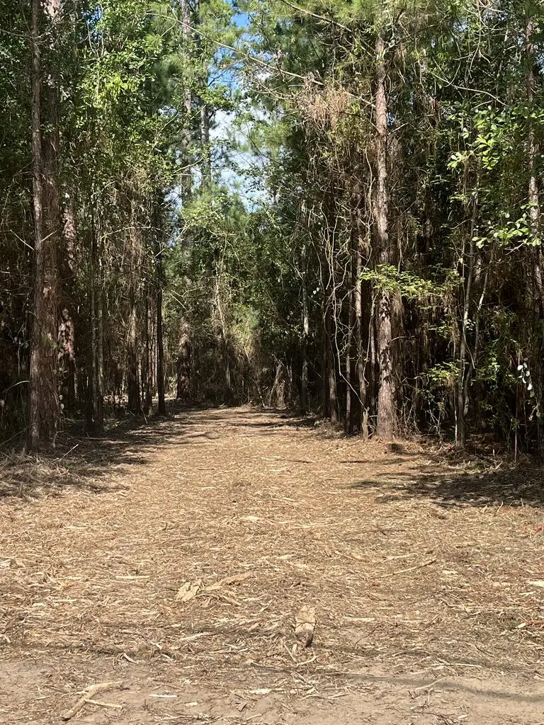 00 U.s. Highway 319 North (7.8 Acres), Thomasville, GA 31757 - #3