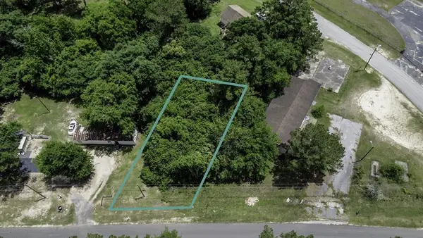 000 Thomas Ave. (lot 33 Mcgriff Subdivision) #33, Attapulgus, GA 39815