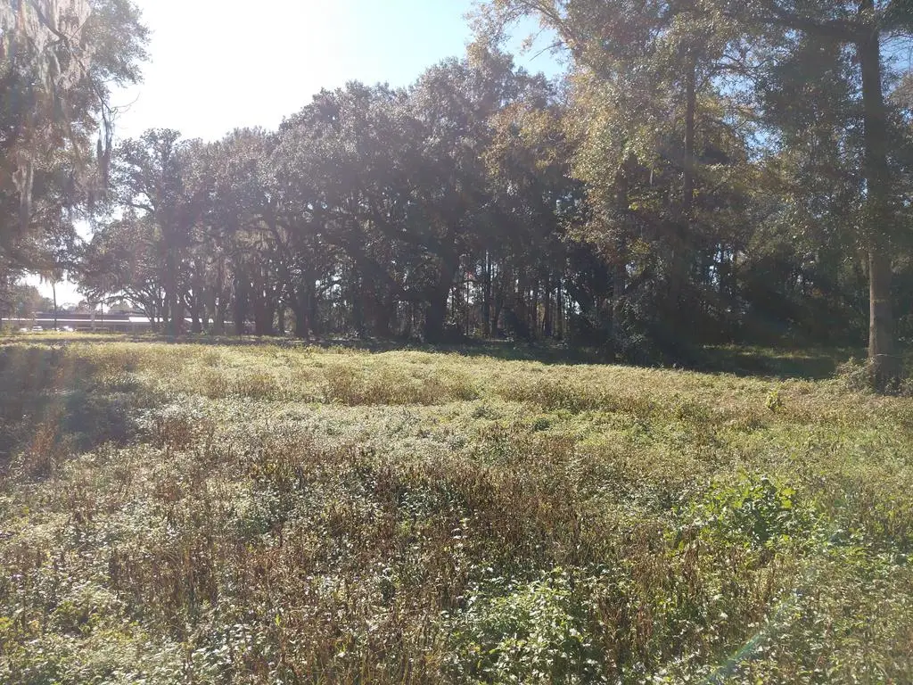 1107 Smith Avenue, Thomasville, GA 31792 - #1