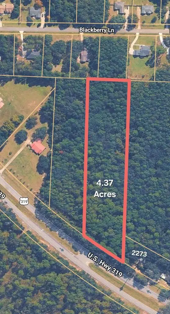 4.37ACR Us Hwy 319 (parcel#00890019), Thomasville, GA 31792 - #1