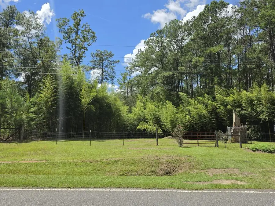 14ACR Hadley Ferry Rd. (parcel #00590012), Cairo, GA 39828 - #2