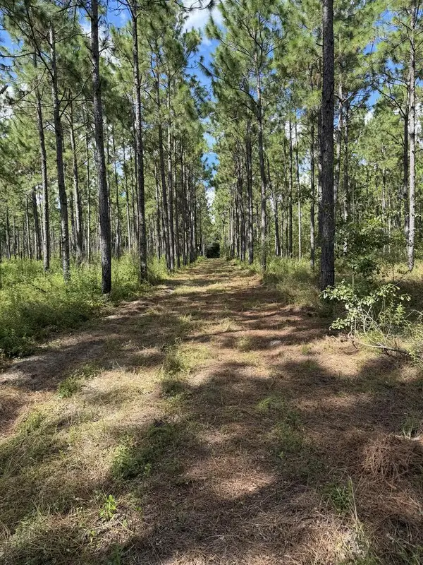 4149 Ga Hwy 311, Camilla, GA 31730
