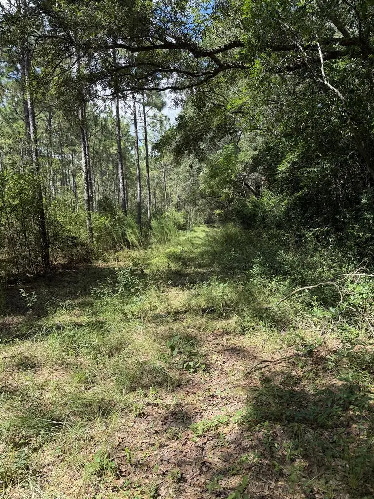 4149 Ga Hwy 311, Camilla, GA 31730 - #2