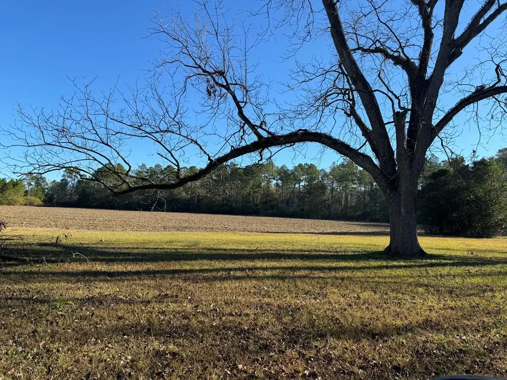 000 15th Ave Nw -- Tract 1, Cairo, GA 39828 - #1