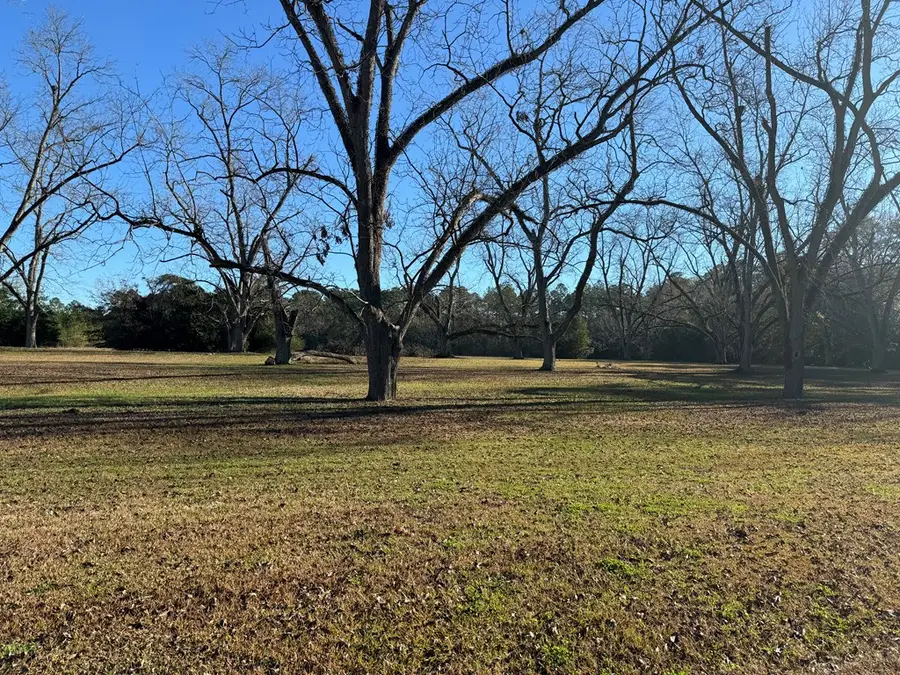 000 15th Ave Nw -- Tract 1, Cairo, GA 39828 - #2
