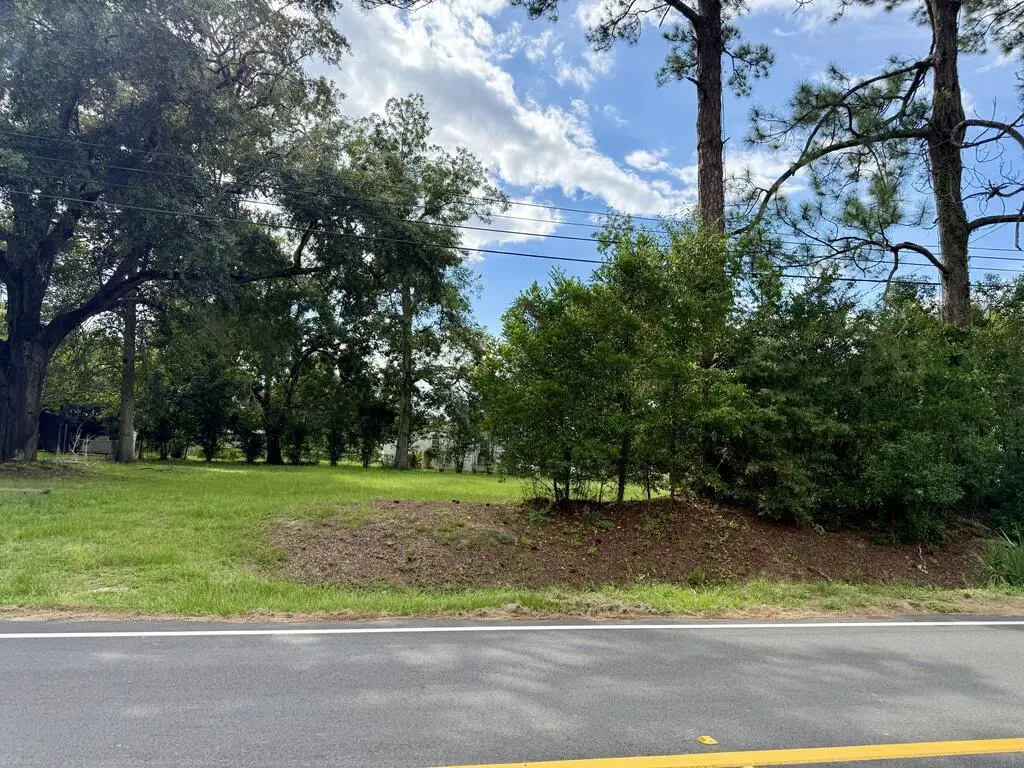 00 County Line St (tract 1 & 2) #1/2, Pavo, GA 31778 - #1