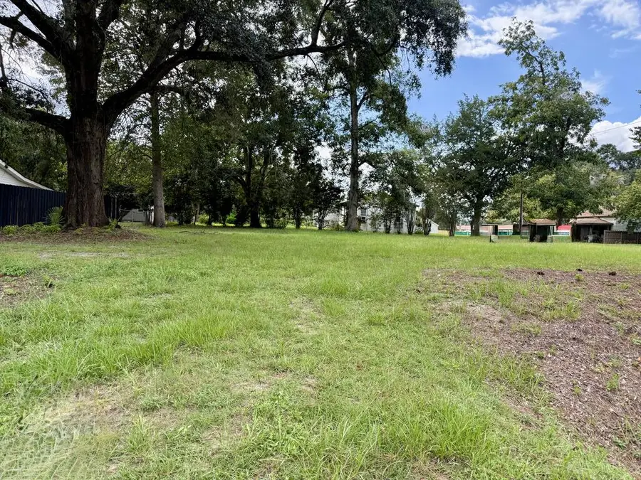 00 County Line St (tract 1 & 2) #1/2, Pavo, GA 31778 - #3