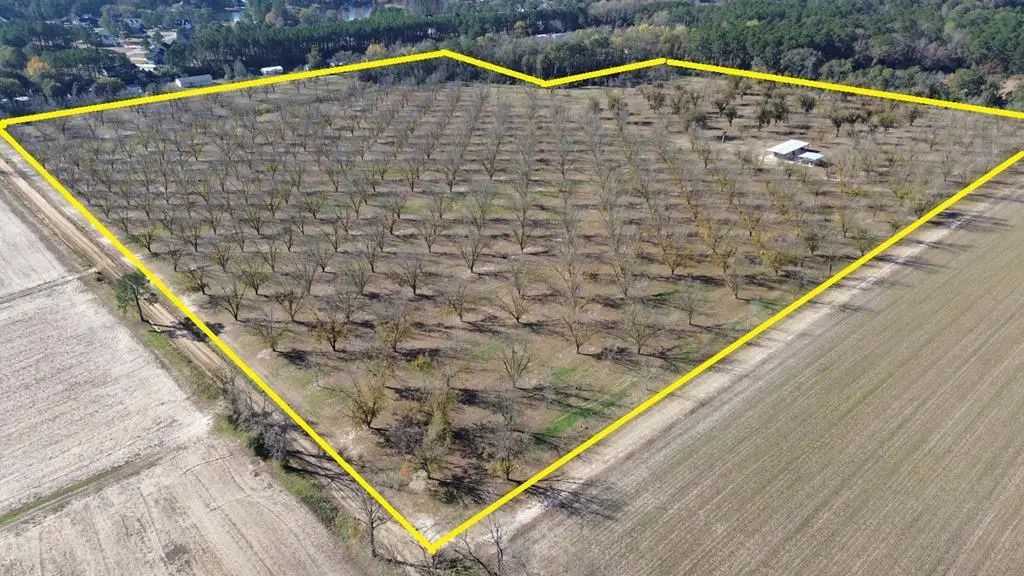0000 Sanford Road (47.83 Acres), Thomasville, GA 31757 - #1