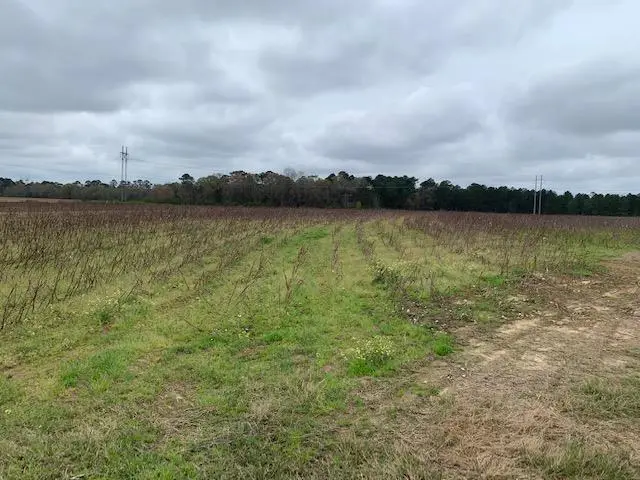 0 W Hutchinson Rd., Tifton, GA 31793 - Image #2