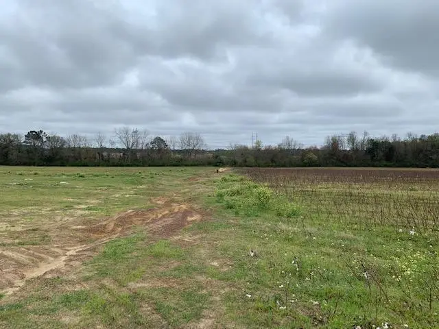 0 W Hutchinson Rd., Tifton, GA 31793 - Image #3