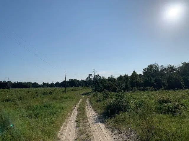 0 S Carpenter Rd., Tifton, GA 31793 - Image #2