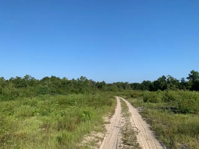 0 S Carpenter Rd., Tifton, GA 31793 - Image #3