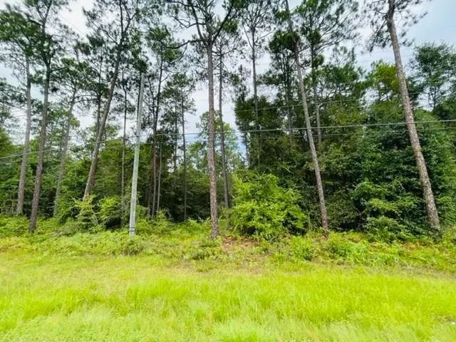 Tract 1 Highway 319 N, Tifton, GA 31794 - Image #1