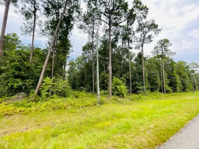 Tract 1 Highway 319 N, Tifton, GA 31794 - Image #3