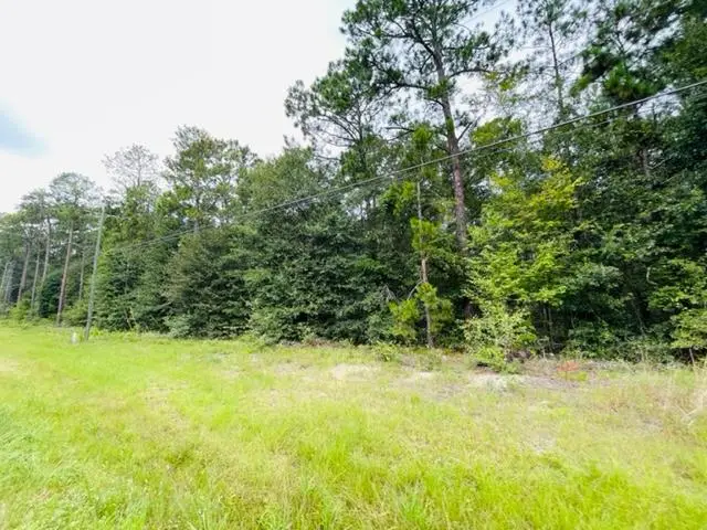 Tract 2 Highway 319 N, Tifton, GA 31794 - Image #1