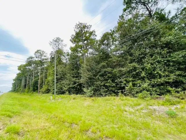 Tract 2 Highway 319 N, Tifton, GA 31794 - Image #2