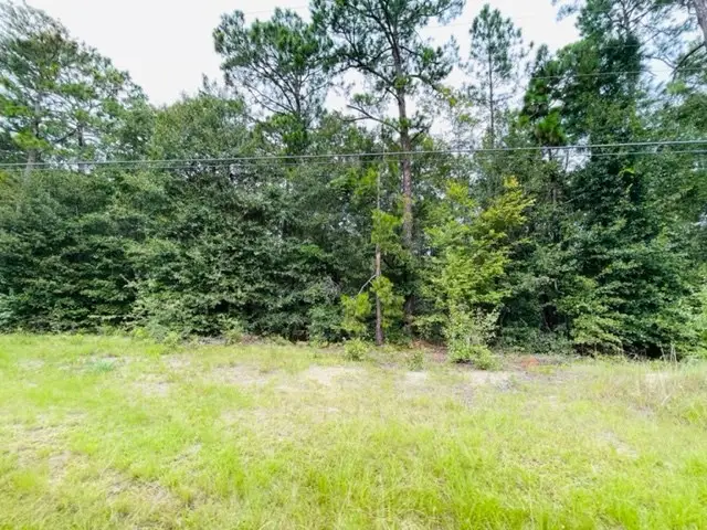 Tract 2 Highway 319 N, Tifton, GA 31794 - Image #3