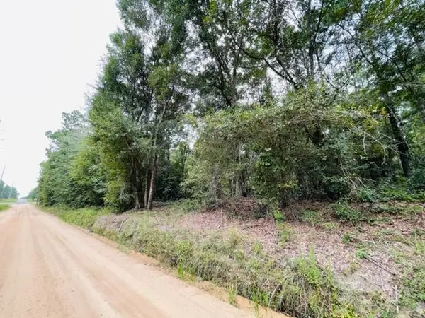 Tract 5 Harold Tyson Road, Tifton, GA 31794