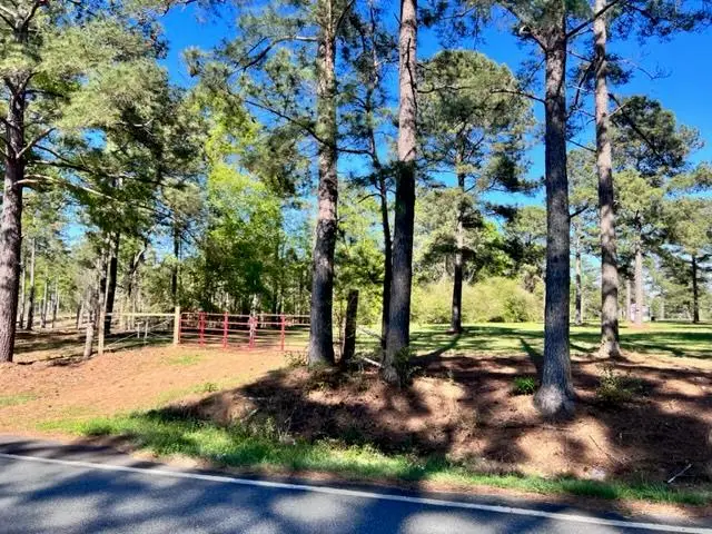 Tract 1 Whiddon Mill Road, Tifton, GA 31793 - Image #1