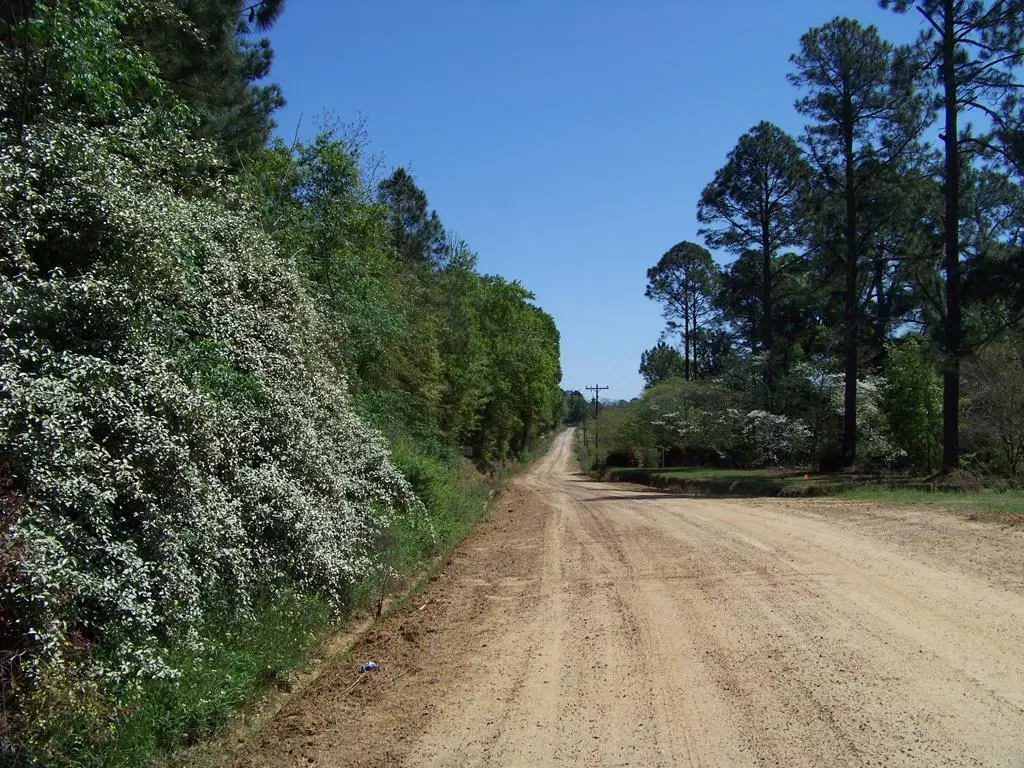 0 Glynn Cook Rd, Ashburn, GA 31714 - Image #1