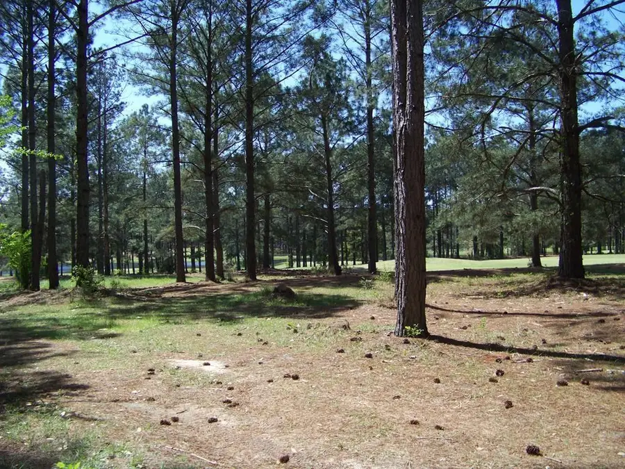 0 Eagle Ct, Ashburn, GA 31714 - Image #2