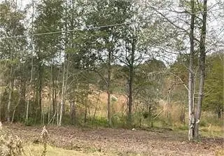 0 Story, Ashburn, GA 31714 - Image #2