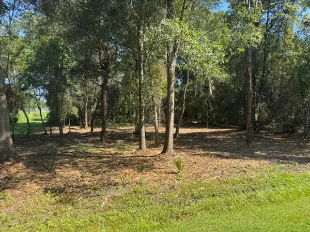 302 Sadler St, Sylvester, GA 31791 - Image #3