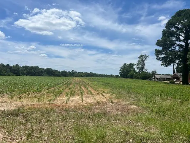 0 Hwy 125 N, Tifton, GA 31794 - Image #1