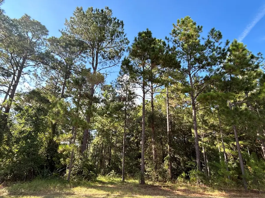 Lot 222 Forest Lakes Drive, Tifton, GA 31794 - Image #3