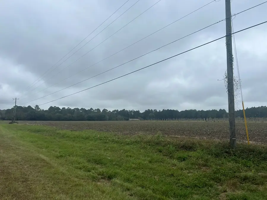 0 Adams Rd, Chula, GA 31733 - Image #2