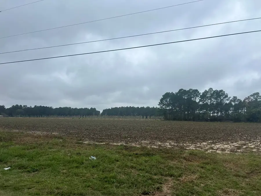 0 Adams Rd, Chula, GA 31733 - Image #3