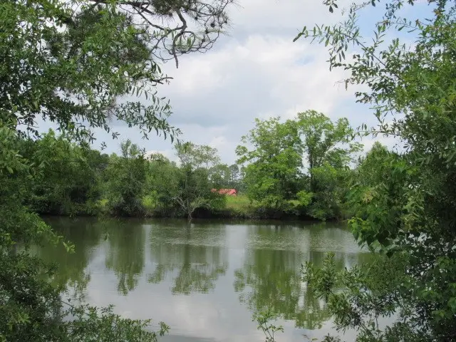 0 Carpenter Place, Tifton, GA 31793 - Image #3