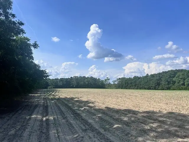 15 acres Highway 41 N, Tifton, GA 31794 - Image #3