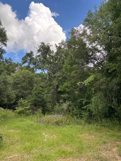 201 Worthwood Road, Albany, GA 31705 - #1