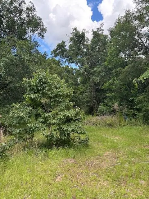 201 Worthwood Road, Albany, GA 31705 - #3