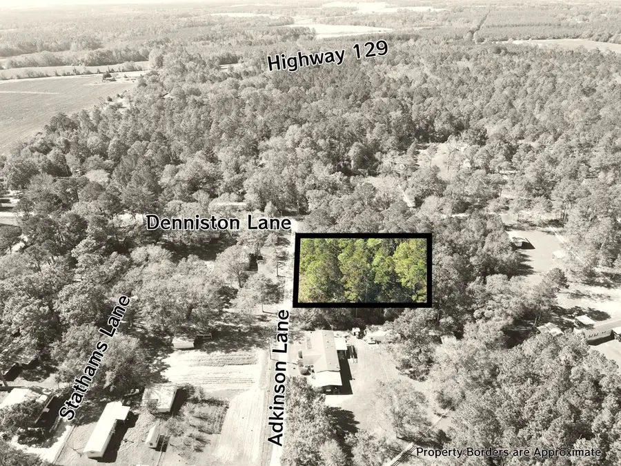 88 Adkinson Lane, Abbeville, GA 31001 - Image #3