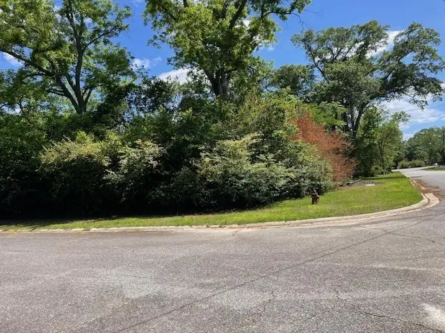 0 Warren St, Ocilla, GA 31774 - Image #2