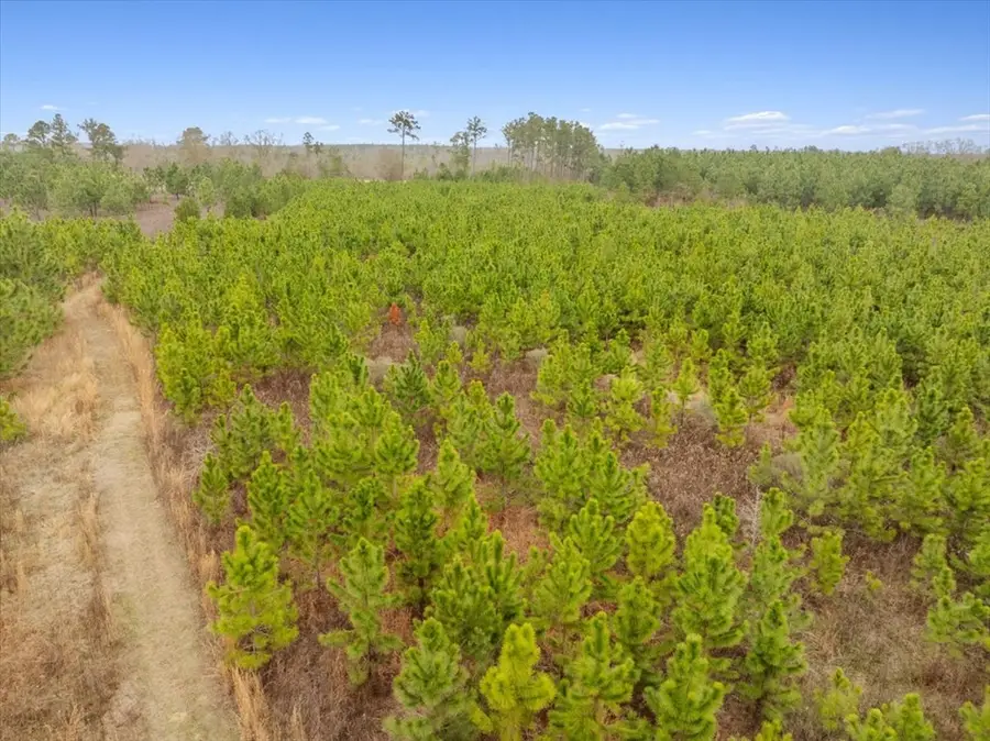 0 Blue Springs Rd, Sylvester, GA 31791 - Image #3