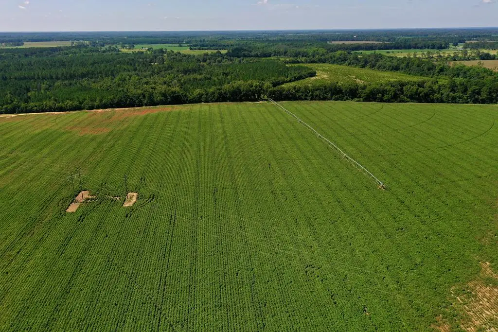 0 Daisy Road, Fitzgerald, GA 31750 - Image #1