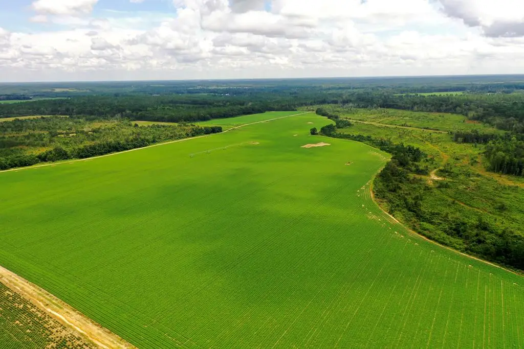 290 Kilgore Lane, Wray, GA 31798 - Image #1