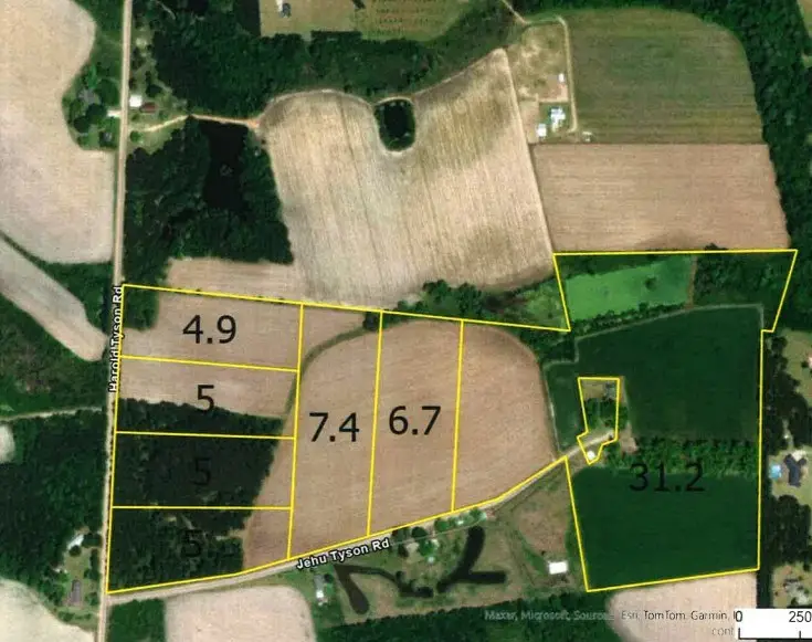 Tract 3 Harold Tyson Road, Tifton, GA 31794 - Image #2