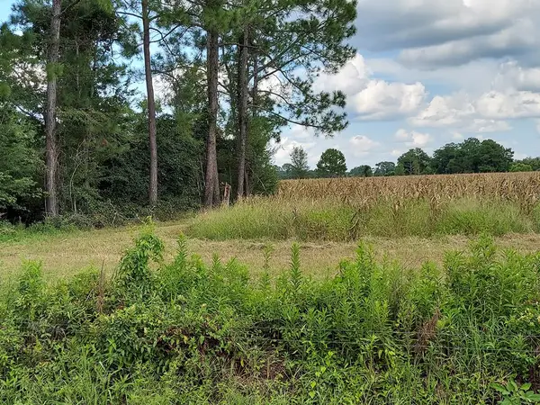 Tract 4 Harold Tyson Road, Tifton, GA 31794