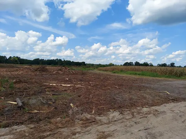 Tract 5 Jehu Tyson Road, Tifton, GA 31794