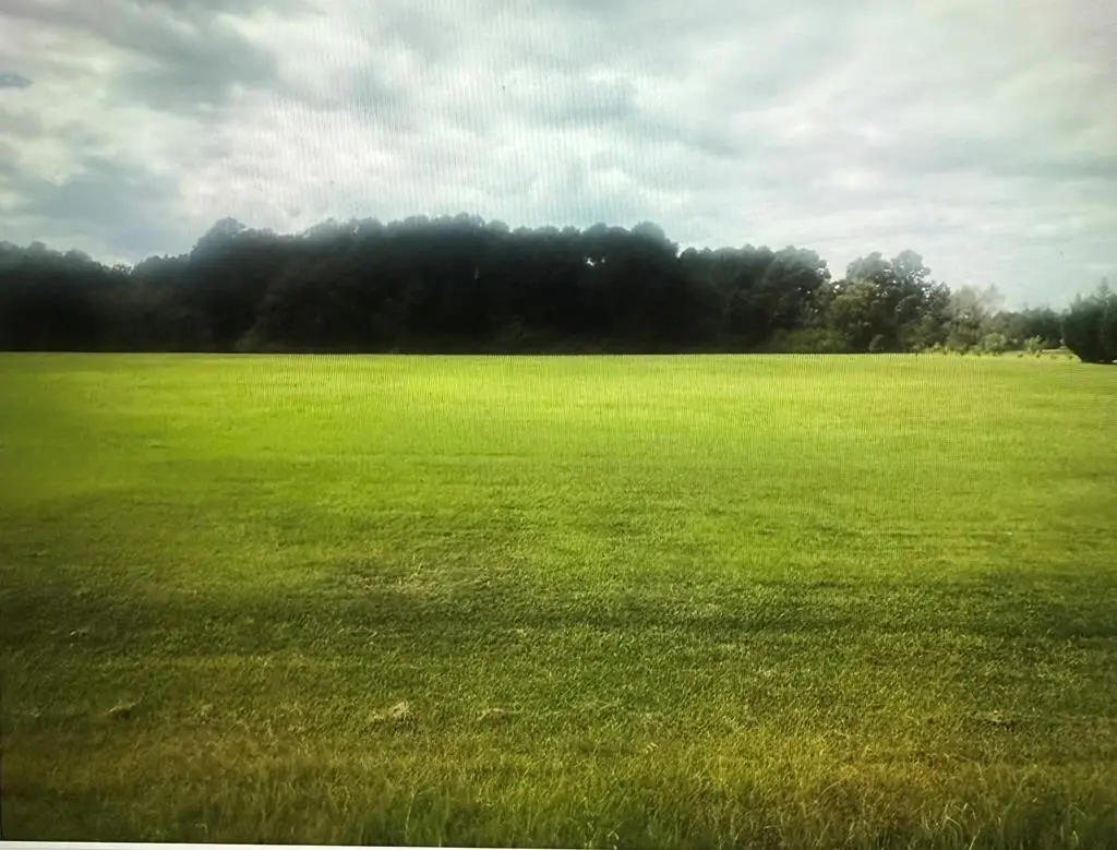 02 Lakeridge Drive, Adel, GA 31620 - Image #1