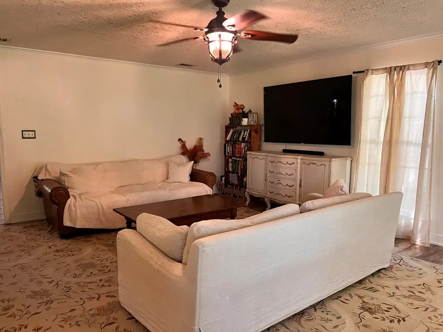 64 Hank Mike Road, Chula, GA 31733 - Image #2