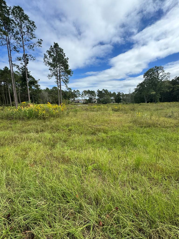 0 Fox Trot Dr, Moultrie, GA 31768