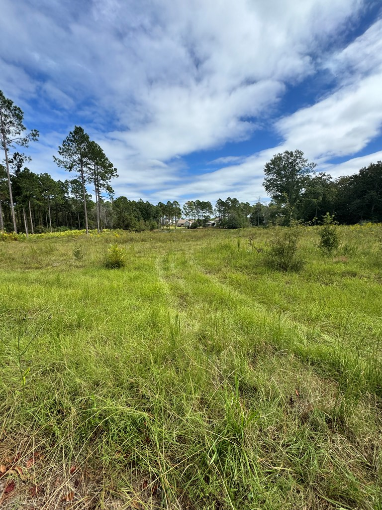 0 Fox Trot Dr, Moultrie, GA 31768 - Image #2
