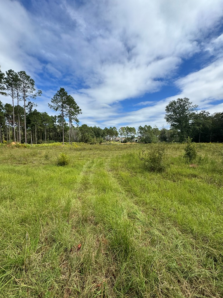 0 Fox Trot Dr, Moultrie, GA 31768 - Image #3